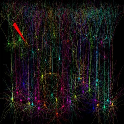 A schematic diagram showing the experimental approach, where a patch-clamp elect