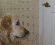 We know that people&rsquo;s emotional states affect their judgements and that ha