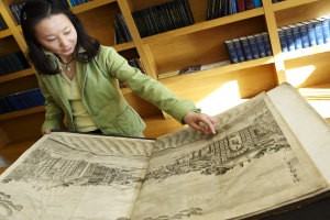 The qing dynasty album