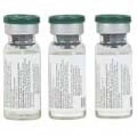 Multiple sclerosis researchers receive �100,000 grant from Freemasons