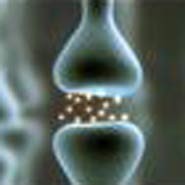 These findings are not going to revolutionise the treatment of Alzheimer&rsquo;s