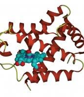 Comparing complex protein networks in cells could lead to new insights in biology