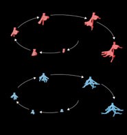 Our results show that excavation is controlled by the density of ants and is als