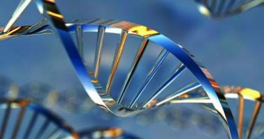 Gene study gives insight into causes of a common type of arthritis