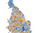 2007/2008 mean average housing price change (% point), parliamentary constituenc
