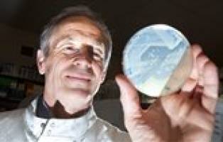 New drugs from mutant bugs