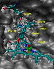 This discovery can help pharmaceutical chemists design new drug molecules with a