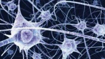 Number of genes associated with MS doubles