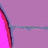 Pair of genes makes plant pest double trouble