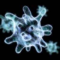 Scientists find the “master switch” for key immune cells in inflammatory diseases