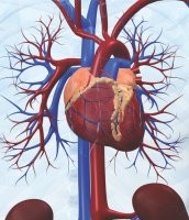 An international team led by Imperial has pinpointed a single gene associated wi