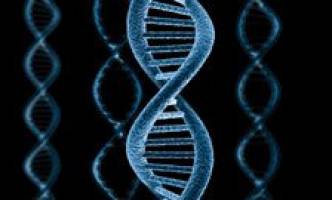 UK's biggest-ever study of lupus genes