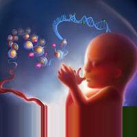 You are what your mother ate