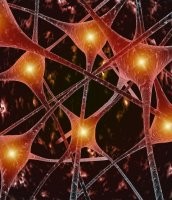 Prazosin prevents memory decline in mouse model of Alzheimer&rsquo;s disease, a 