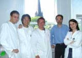 New research provides breakthrough in understanding common cancer