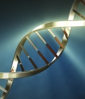 A new study has identified how bacteria that cause meningitis and septicaemia ar