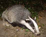 The research findings have the potential to be applicable to various populations