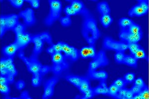Individual proteins are clusters at the surface of tat the surface of the cell