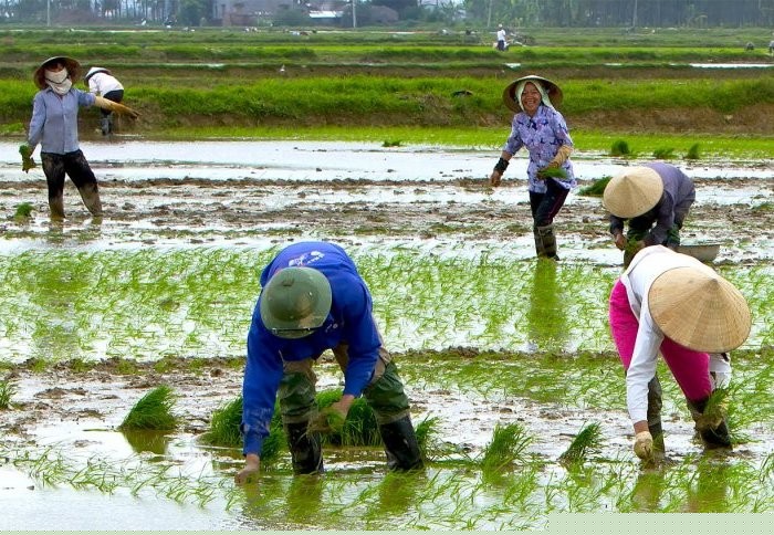 Study results could lead to super-crops such as faster growing, drought-resistan