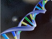 Scientists found evidence of ancient viruses in the DNA of modern humans