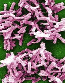 People usually become ill with C.diff after taking antibiotics