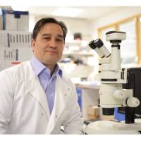 Scientists transplant photoreceptors from retina grown 'in a dish'