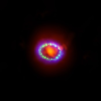 the remnant of Supernova 1987A seen in light of very different 
wavelengths. ALM