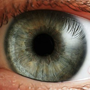 Human Eye (Credit:�Petr Nov�k, source Wikimedia Commons)