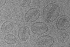 Heating targeted cancer drugs increases uptake in tumour cells