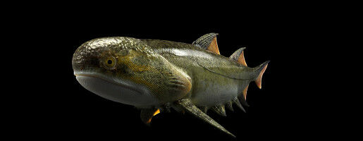 Ancient 'sharks' appeared much earlier than previously thought