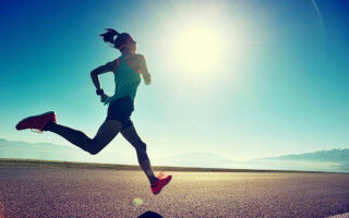 Endurance exercise may affect body's largest artery differently in men and women