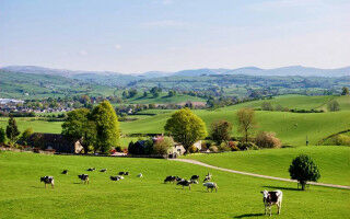 Living in rural England linked to better memory performance