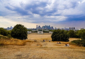 Health risk from global warming predictor of city climate action during COVID-19