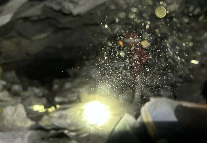 Credit: Patrick Howlett