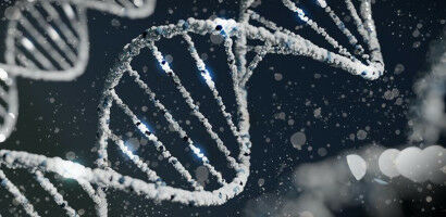 Role of inherited genetic variants in rare blood cancer uncovered