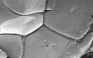 Chemists recreate how RNA might have reproduced for first time