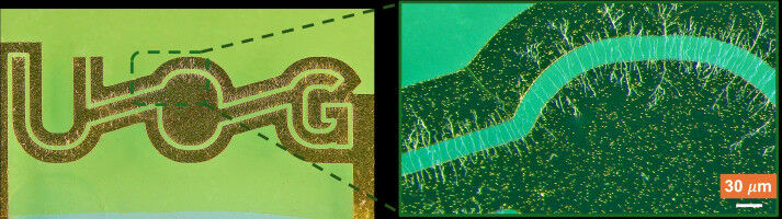 Nanowire technology breakthrough could unlock new material manufacturing