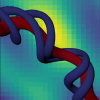 Spirals in the umbilical cord help to keep babies cool before birth