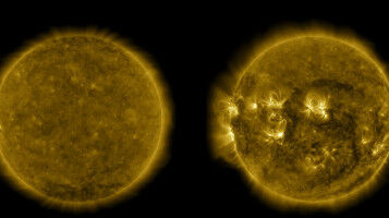 Forty years' data give unique insight into Sun's inner life