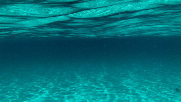 Physics based AI unlocks first global predictions of carbon cycling in ocean sed