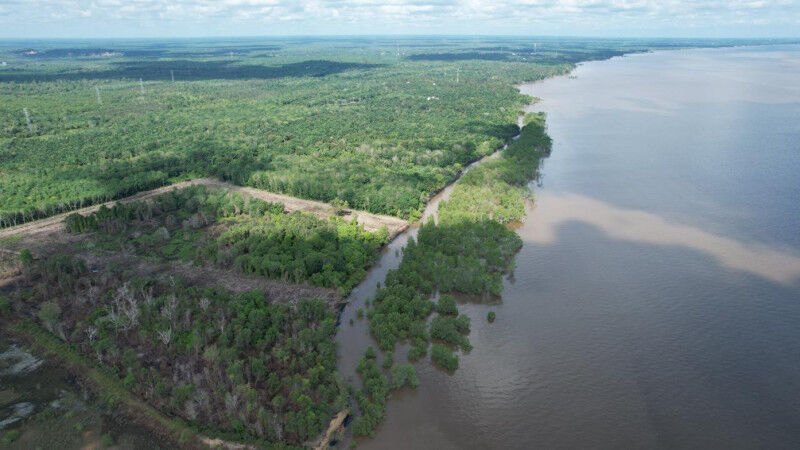 Aerial view of a tropical coastal landscape in Sumatra, Indonesia, where vegetat