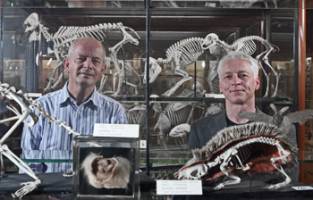 Art takes flight at Festival of the Mind