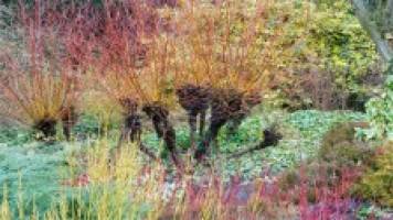 Cambridge University Botanic Garden celebrates milestone in visitor numbers