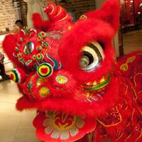 China comes to the Fitz