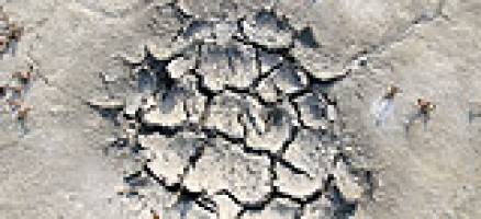 Crop failures set to increase under climate change