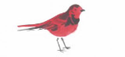 Design student wins top industry award