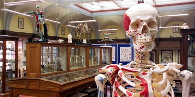 The Anatomy Resource Centre in the Old Medical School.