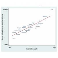Greater social equality is the key to wellbeing?