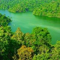 Inaugural biodiversity symposium focuses on the future