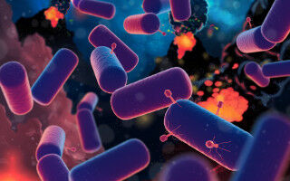 Insight into one of life's earliest ancestors revealed in new study